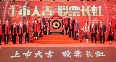 帝奥微：登陆科创板，专注高性能模拟芯片研发，乘风“国替”趋势拉升成长空间