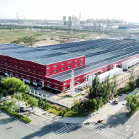 总投资20亿元，赛盛新材料年产800吨碳化硅颗粒项目成功点火
